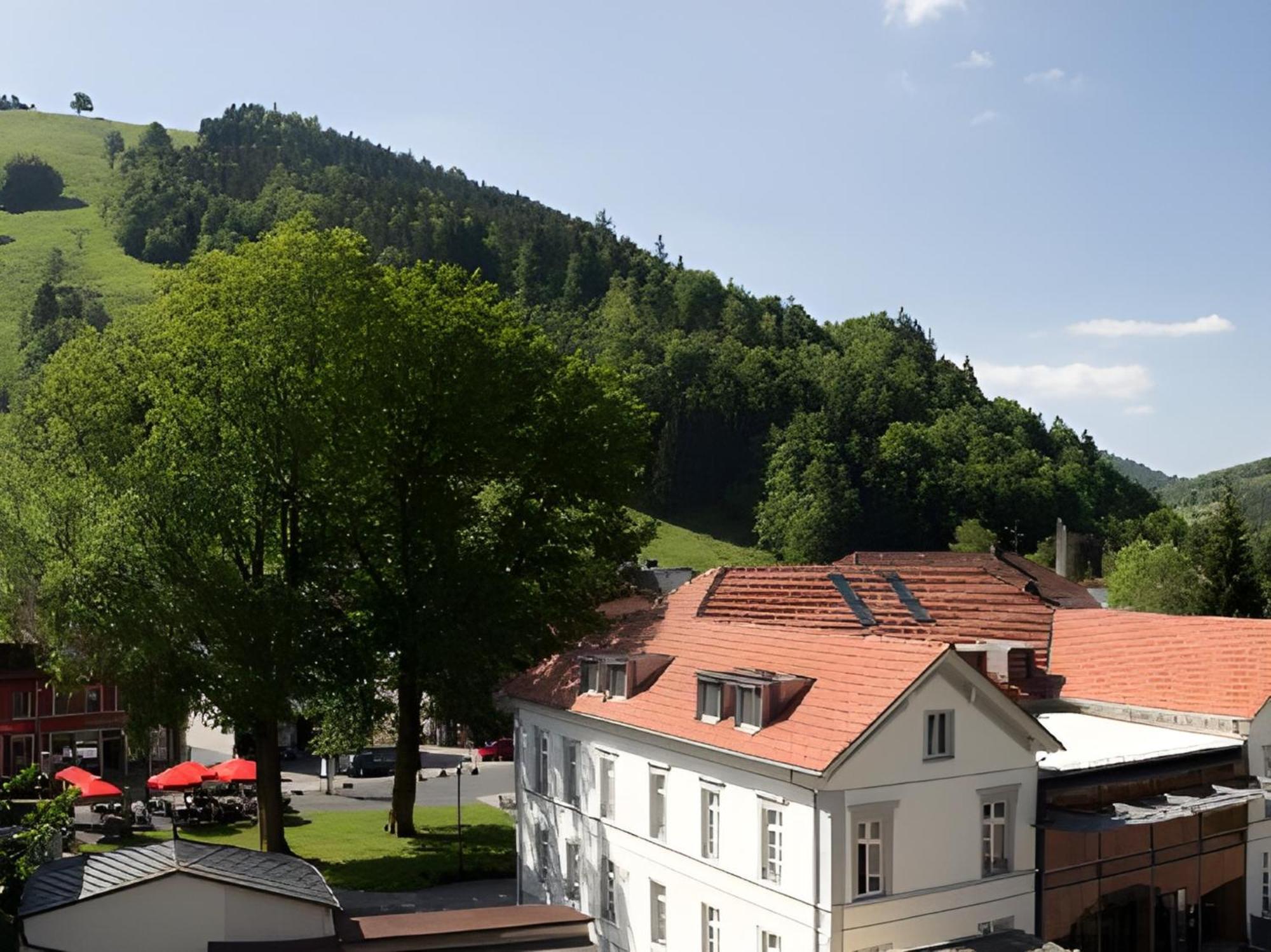 Ferienwohnung Dietsche Todtnau Extérieur photo